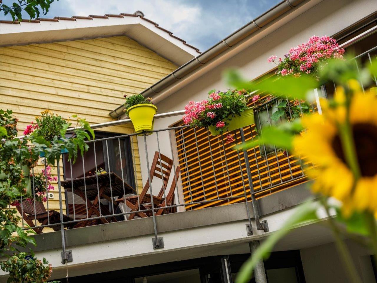Bed And Breakfast Oase Im Seetal Gelfingen Exterior foto